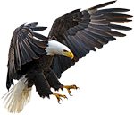 seven eagles adler